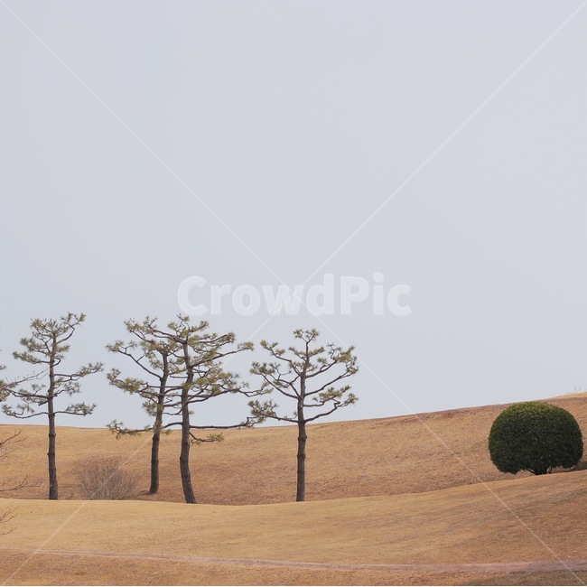 유적지,고분군,공원,복천동고분군,부산여행,park,자연,풍경,nature,landscape,outdoors,옥외,soil,흙