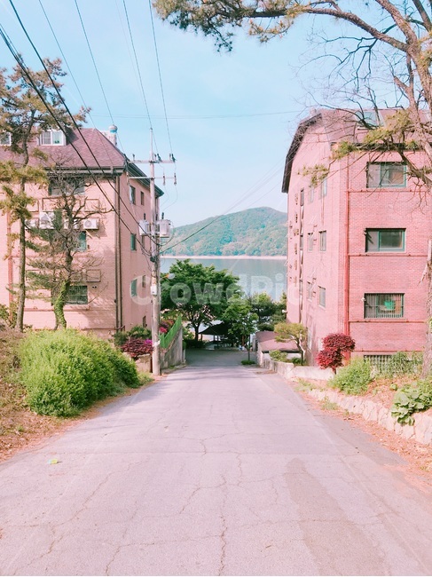 거리,산책,풍경,자연,동네