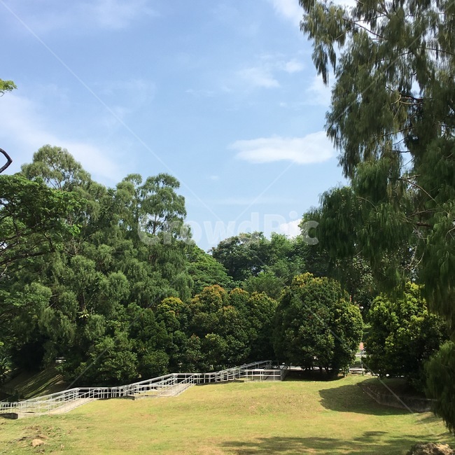 식물,공원,힐링,숲,나무,plant,outdoors,자연,풍경,nature,landscape,옥외,grass,잔디,field,들