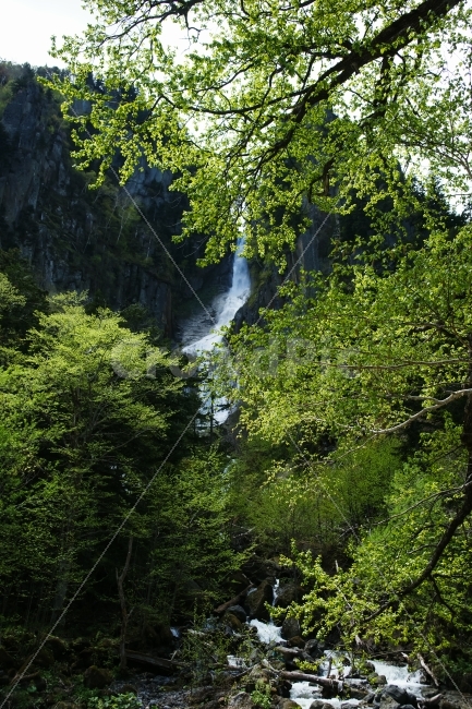 해외,일본,홋카이도,은하폭포,폭포,나무,봄,물,계곡,산,자연,풍경,nature,landscape,여름,계절,summer,season,해외,외국,세계,foreign,oversea,world,outdoors,옥외,river,강,water,waterfall,plant,식물,vegetation,초목