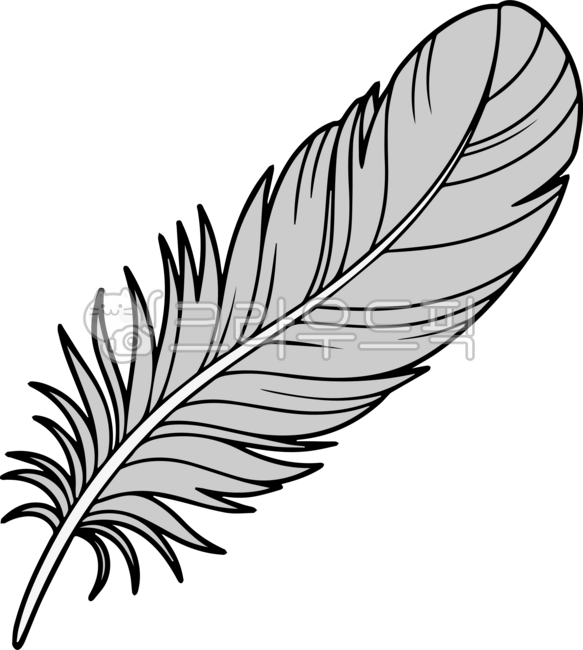 깃털,새,새깃털,feather,bird,일러스트,컬러,깃,털,날개,날개털,조류,birds,동물,animal,wing,윙,하얀,하얀색