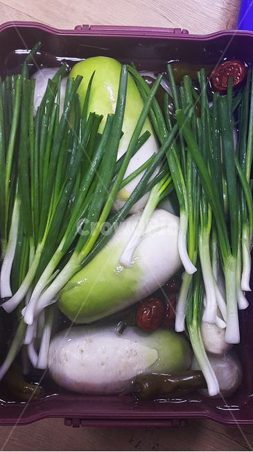 김치,담그기,무우,대파,파,대추,용기,그릇,음식,동치미,plant,식물,food,음식,식재료,요리,food,cook,meal,dishes,food reserves,채소,야채,vegetables