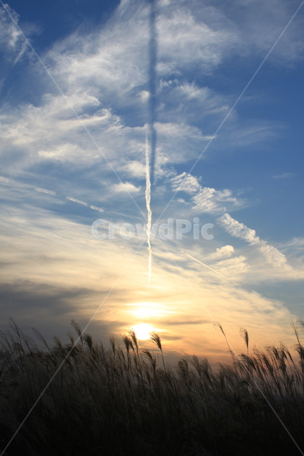 하늘,하늘공원,해질녘,노을,구름,풍력발전기,sky,sunset,cloud,자연,풍경,nature,landscape,grass,잔디,plant,식물,outdoors,옥외