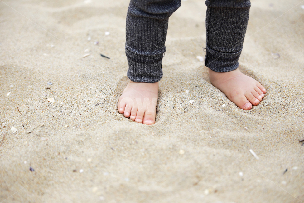 shells,sandy beach,legs,beach,skin,Baby feet,toes