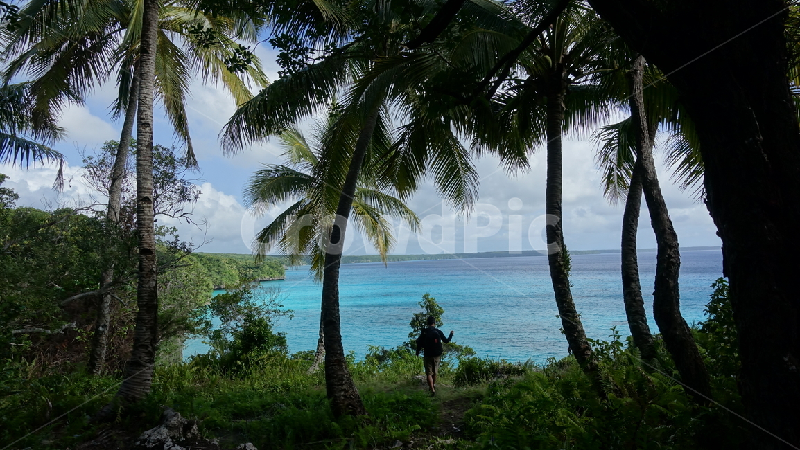 자연,nature,green,초록,plant,바다,blue,ocean,sea,수평선,나무,horizon,summer,여름,휴가,vacation,휴양지,모험,리푸,뉴칼레도니아,남태평양,키키해변