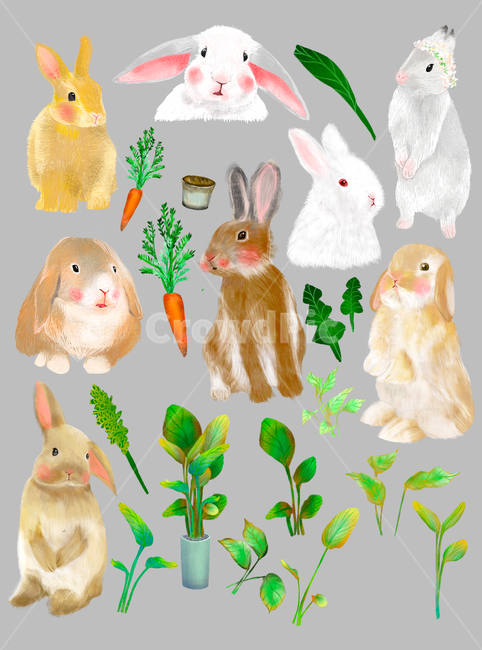토끼,또끼일러스트,일러스트,동물일러스트,당근,당근일러스트,식물,식물일러스트,rabbit,rabbitillustration,animal,animalilustration,plant,plantillustration,동물,animal,그래픽,일러스트레이션,graphic,illustration