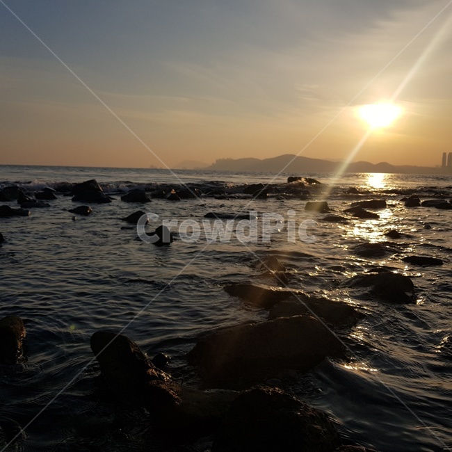 빛,플레어,sunlight,노을,light