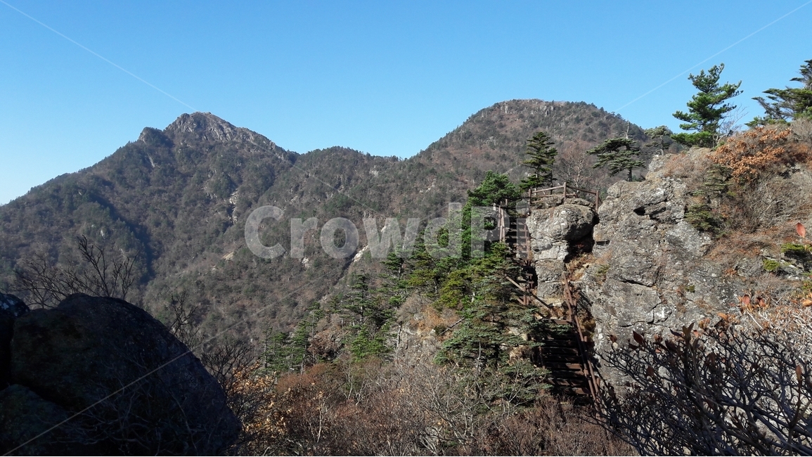 지리산,천왕봉,산,고사목,가을,국립공원,자연,풍경,nature,landscape,한국자연풍경,한국자연경관,korea nature landscape,outdoors,옥외,cliff,낭떠러지,slope,경사
