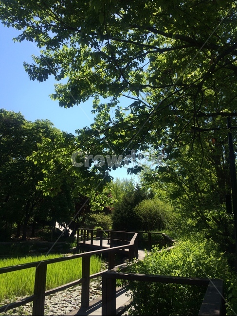 숲길,그린,녹색,산책로,오월풍경,하늘