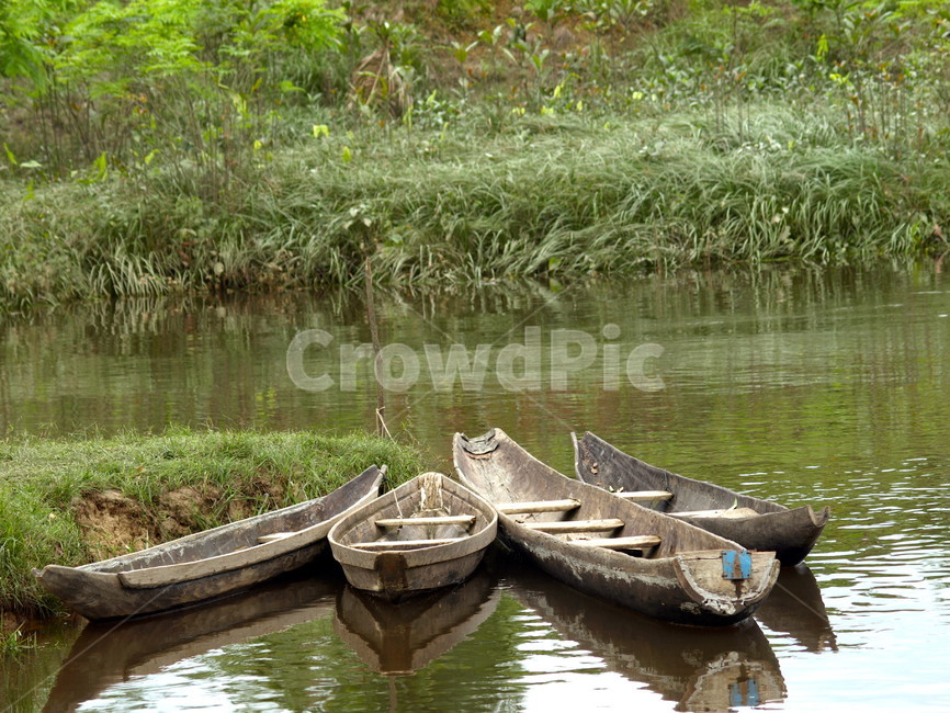 카누,강,아마존,나무,canoe,river,tree,자연,풍경,nature,landscape,해외,외국,세계,foreign,oversea,world,세계자연풍경,해외자연풍경,외국자연풍경,world nature landscape,boat,보트,vehicle,차량,rowboat,노 젓는 배,transportation,교통