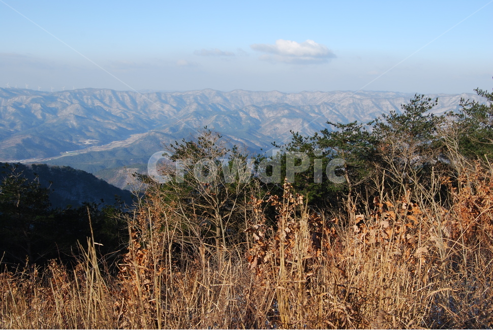 칠보산,등산로,휴양림,계절,자연,자연,풍경,nature,landscape,한국자연풍경,한국자연경관,korea nature landscape,outdoors,옥외,mountain,산,mountain range,산맥,plant,식물,grass,잔디
