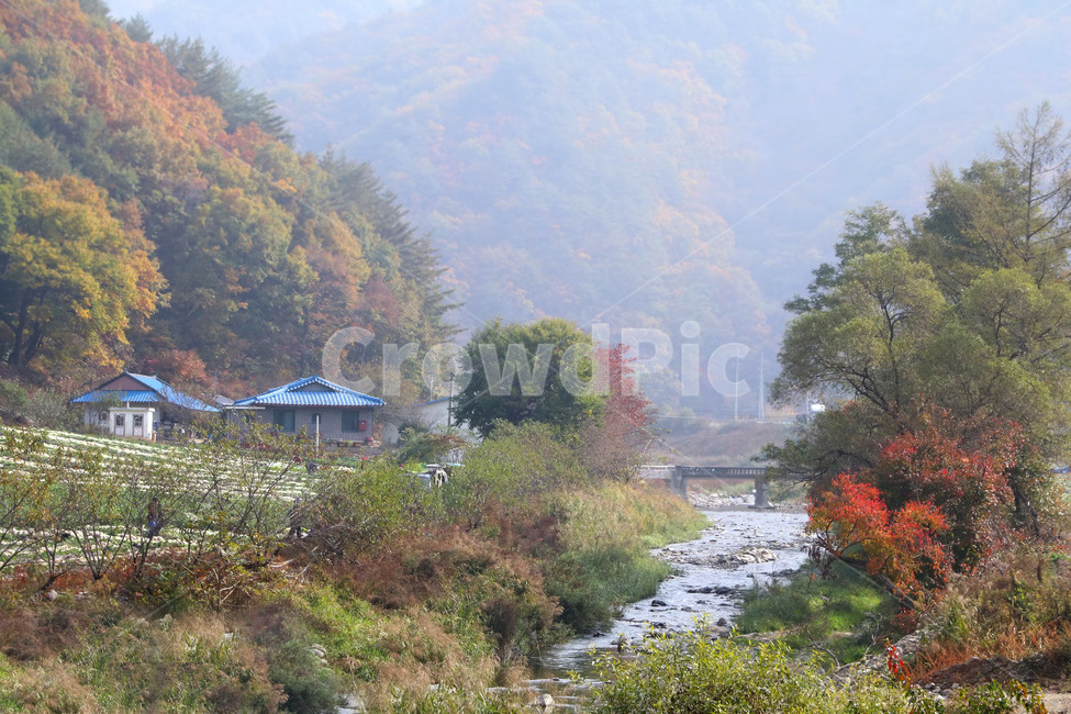 시골,산골,가을풍경,촌집,자연풍경,가을,계절,fall,autumn,season,시골,마을,풍경,landscape,country,rural,town,nature,자연,outdoors,옥외,water,물