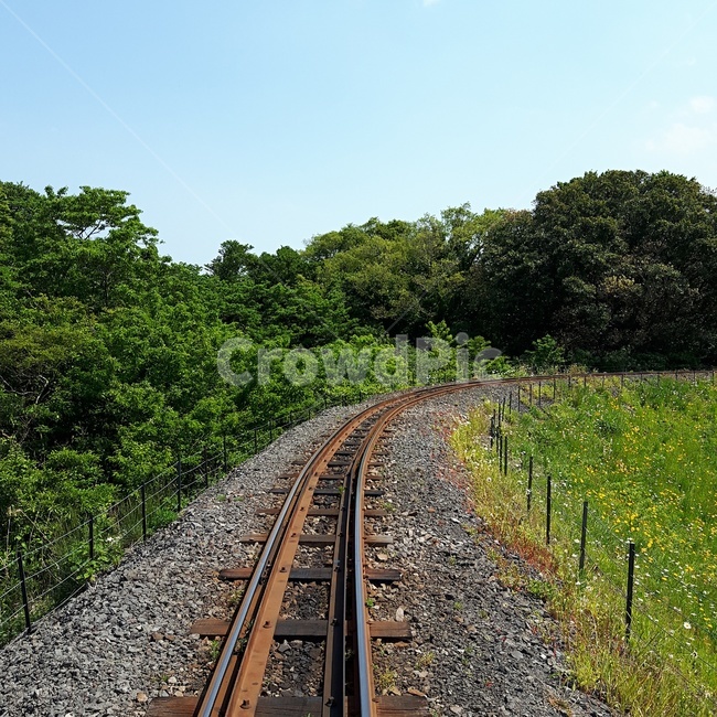기찻길,나무,자연,자갈,기차,제주도,교통,교통수단,traffic,transportation
