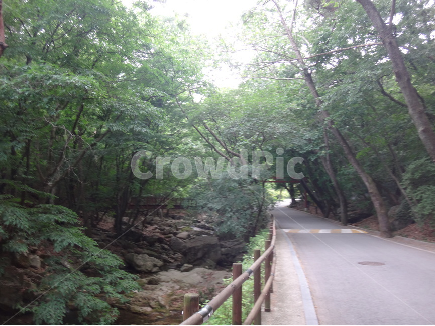 등산로,둘레길,숲길,탐방로,푸른숲길,자연,풍경,nature,landscape,outdoors,옥외,garden,정원,arbour,정자