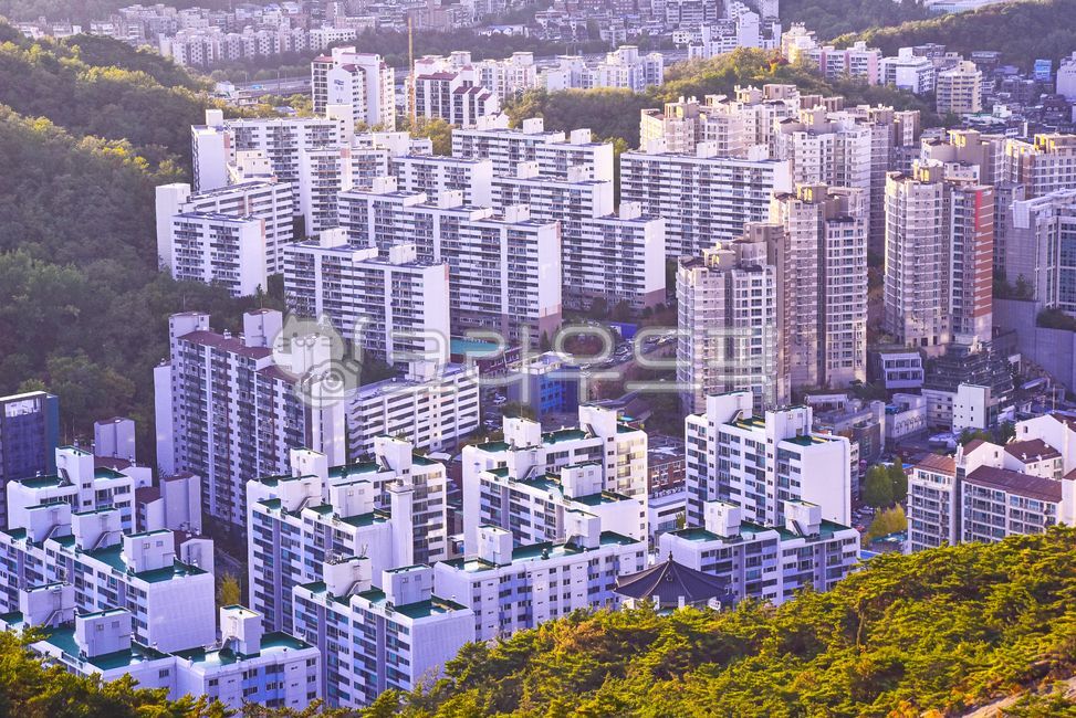 residential area,forest,city,green space,subscription,house,view map,building,Trading,cityscape,architecture,building forest,Apartment village,town,nature,metropolis,real estate,View,environment,outdoors,urban,background,lease