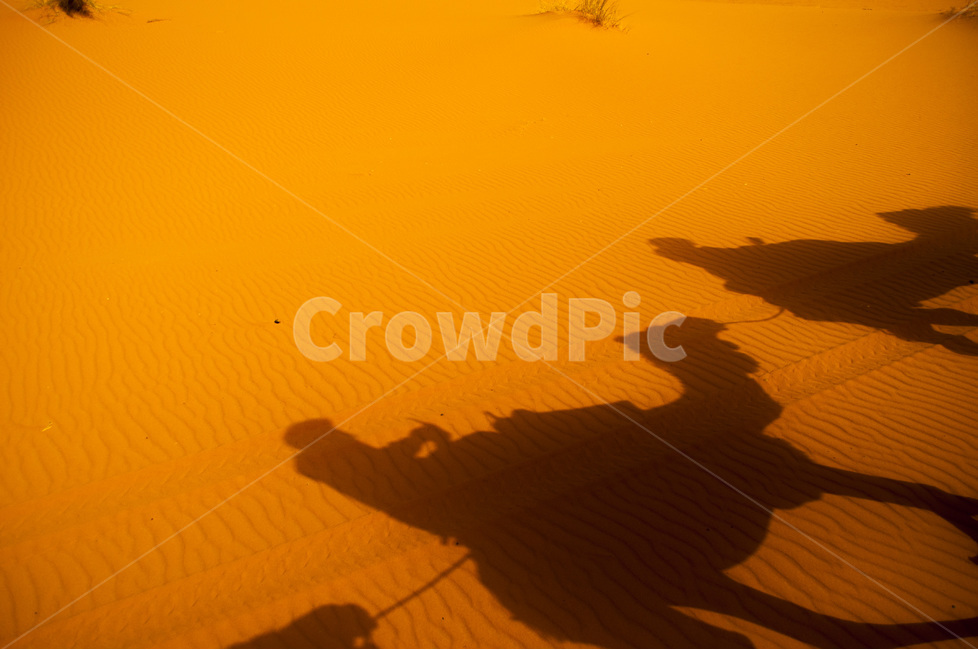 모로코,사하라,사막,그림자,태양,낙타,여행,모래,morroco,sahara,desert,shadow,camel,sun,travel,해외,외국,세계,foreign,oversea,world,동물,animal,포유류,mammal,실루엣,그림자,silhouette,shadow,여행,휴가,traveling,vacation,trip