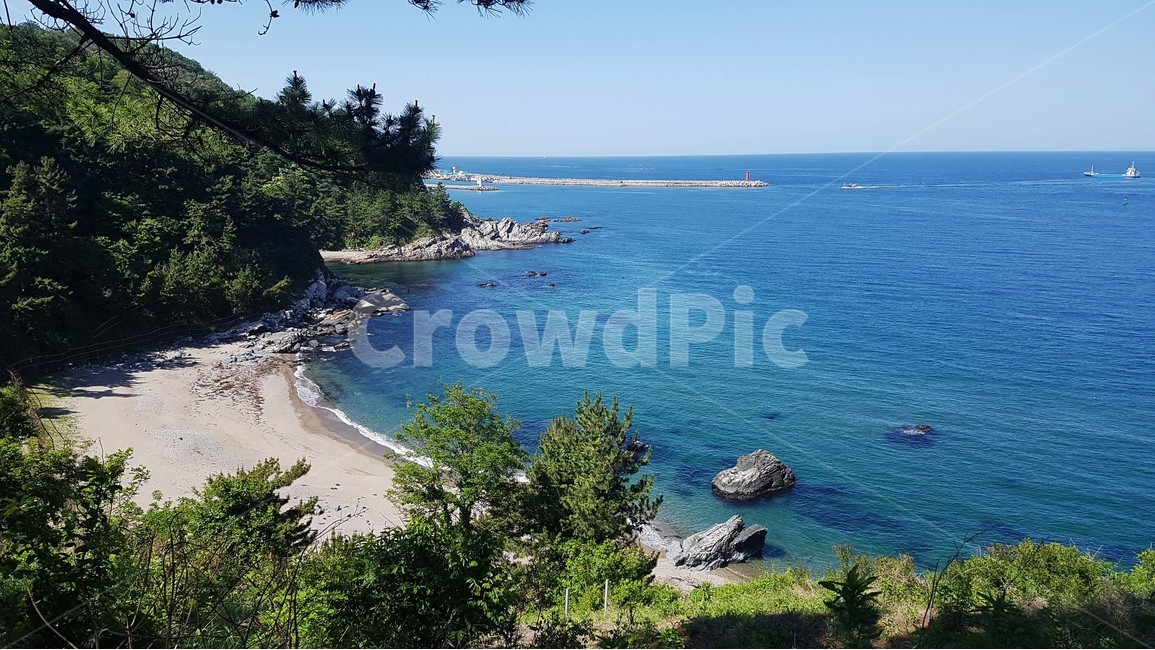 바다,해수욕장,해변,모래사장,등대,풍경,자연,나들이,산책,바닷가,바닷물,나무,소나무,야외,삼척,동해,자연,풍경,nature,landscape,해변,바다,beach,sea,ocean,대양,outdoors,옥외,water,물,shoreline,해안선,land,땅,promontory,곶,coast,연안