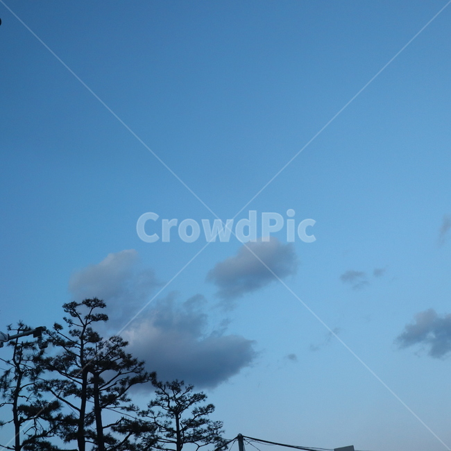 감성구름,cloud,파란하늘구름,파란하늘,나무구름,겨울하늘,sky