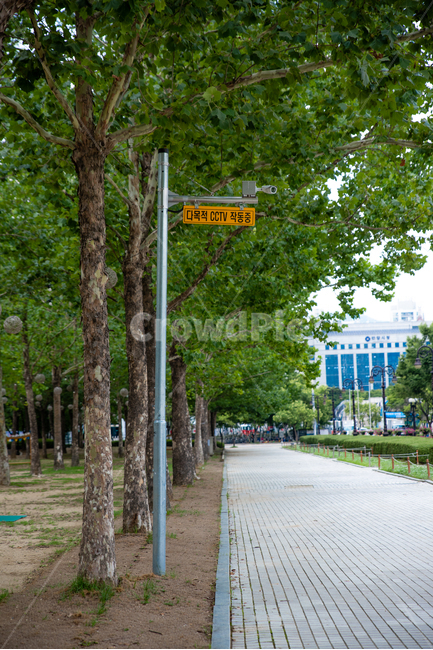 cctv,공원,도로,보도블럭,카메라