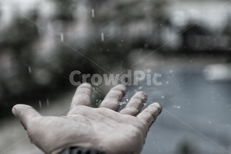 person,사람,human,인간,자연,moment,capture,순간,rain,raindrop,사람,인물,인간,human,person,신체일부,몸,body,비,비오는날,rain,rainy