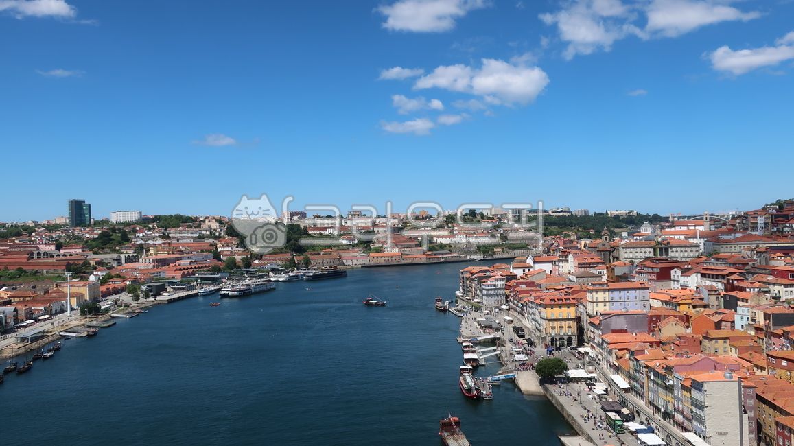 포르투갈,portugal,porto,도우루강,douro