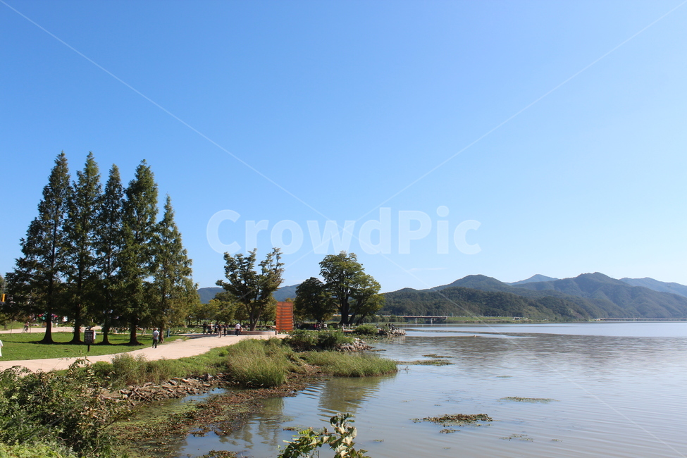 nature,자연,outdoors,옥외,water,물,강,호수,나무,두물머리,river,자연,풍경,nature,landscape