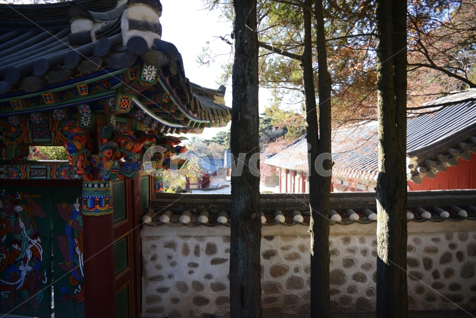 불국사,역사,사찰,절,문화유산,한국전통,한국문화,korean traditional,korean culture,랜드마크,landmark,tourist attraction,한국랜드마크,한국관광지,한국명소,korea landmark,korea tourist attraction,종교,신앙,religion,belief,faith,건축물,건물외관,exterior,building,structure,architecture,construction