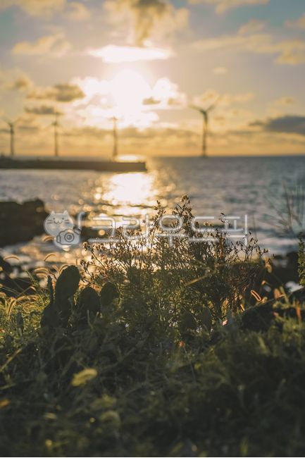 sky,flare,red sky,windmill,backlight,jeju island,sea,wind generator,ocean,light,sunset,Korean natural scenery,nightfall