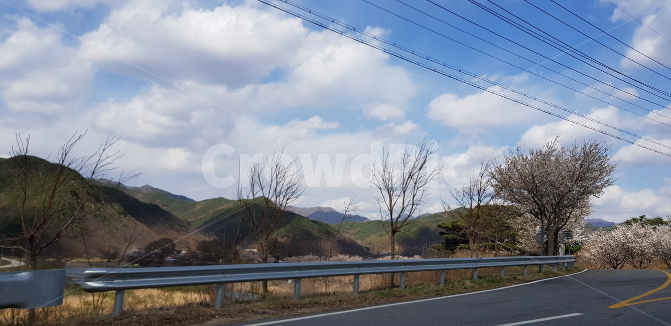 풍경,벚꽃,길,산,하늘,나무,자연,맑음,자연,풍경,nature,landscape
