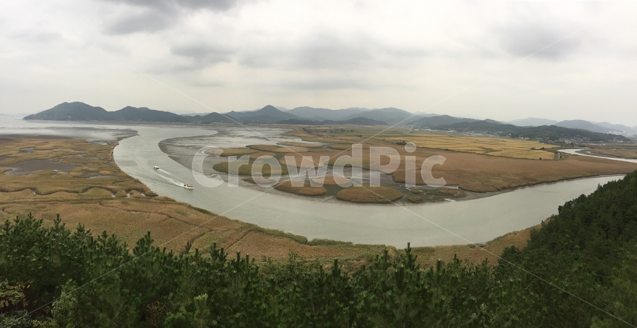 순천만,습지,강,바다,갈대,갈대밭,자연,풍경,nature,landscape,한국자연풍경,한국자연경관,korea nature landscape,경치,outdoors,옥외,scenery,land,땅,aerial view,조감도
