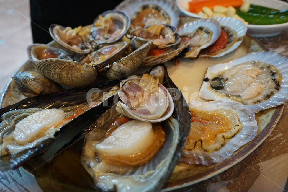 조개,가리비,조개구이,조개모듬,음식,요리,신선하다,해산물,수산물,씨푸드,food,cook,외식,회식,어패류,식사,숯불,여름,한여름,불,seafood,해물모듬,모듬해물,해물,술안주,그릴,캠핑,지글지글,보글보글,키조개,완자,청사포,모듬조개,음식,식재료,요리,food,cook,meal,dishes,food reserves,수산물,해산물,fishery products,seafood