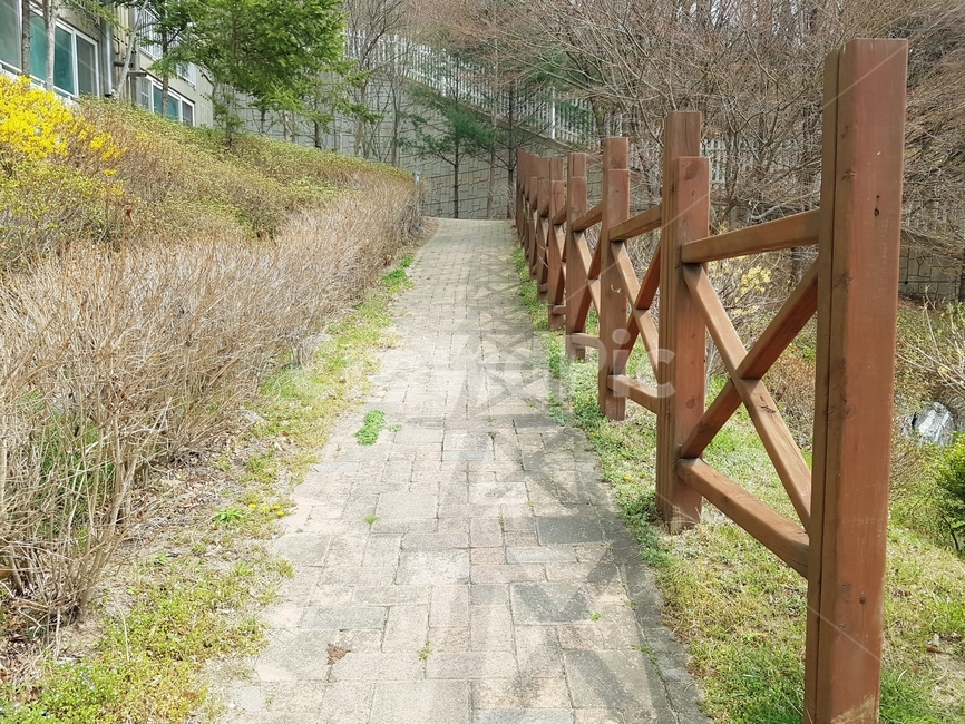 봄,산책,걷기,꽃,나무,풀,산책로,돌계단,하늘,4월