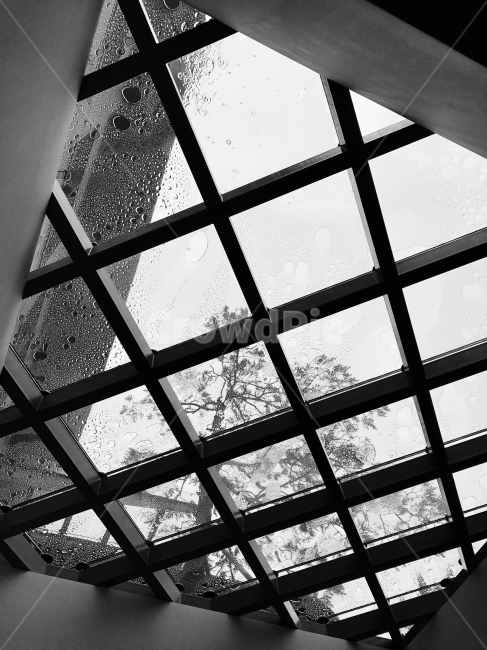 비,지붕,유리,빗물,흑백,흑백,모노톤,monochrome,black and white