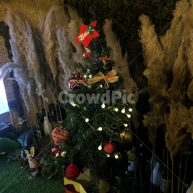 plant,식물,tree,나무,christmastree,크리스마스트리,ornament,장식
