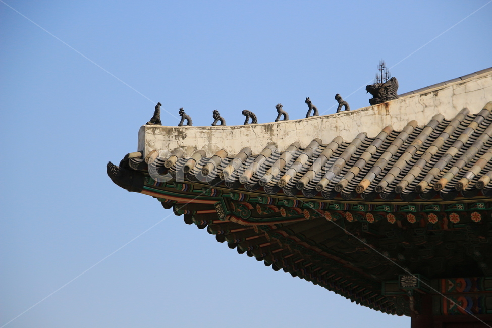 서울,창경궁,기와,지붕,하늘,풍경