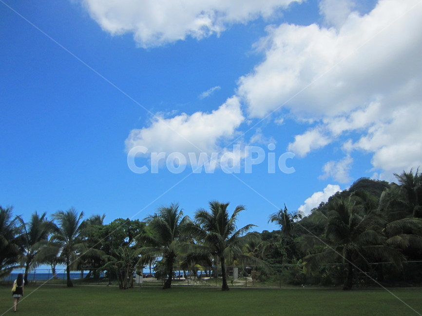 괌,guam,grass,잔디,휴양