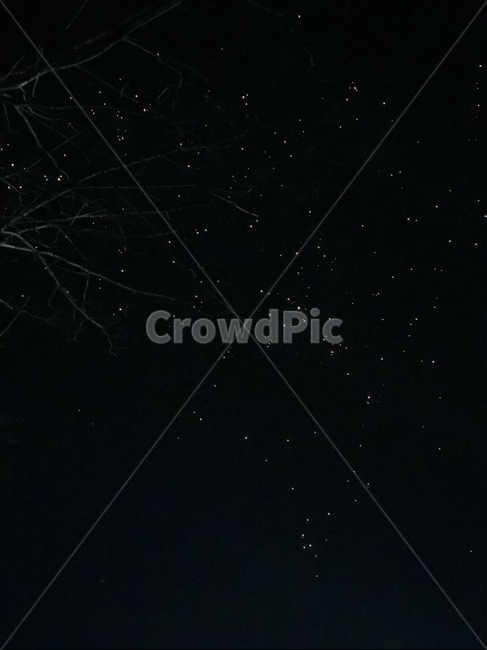 불꽃놀이,불꽃,밤하늘,밤,불똥,야경,밤,풍경,nightscape,night,landscape,nature,자연,outdoors,옥외