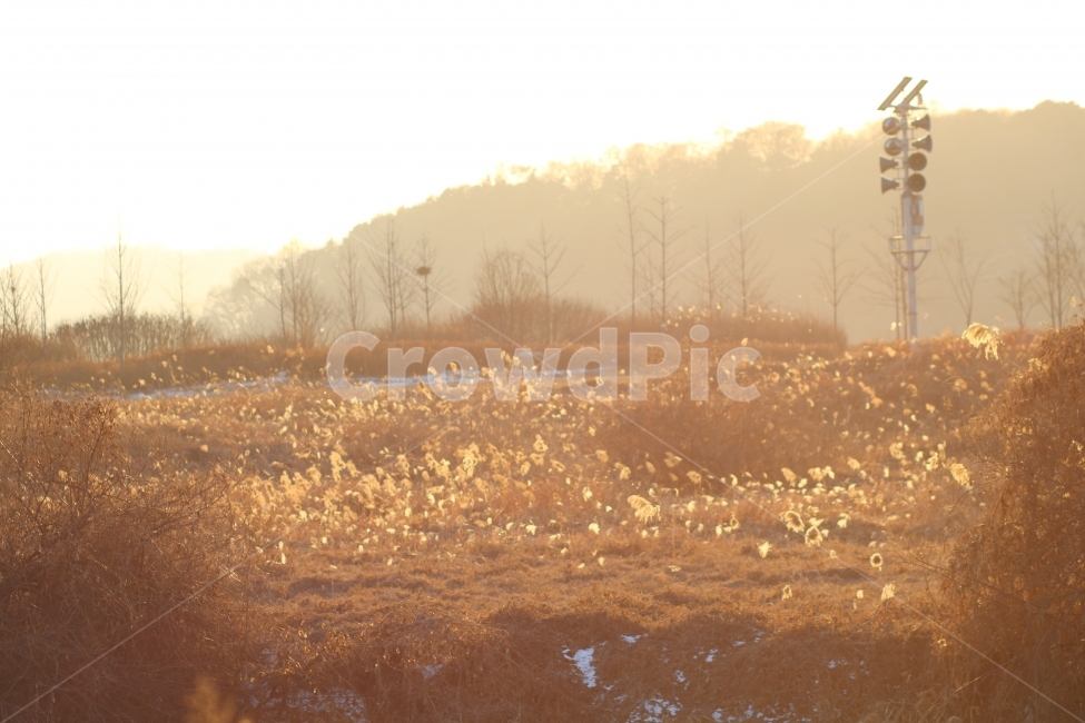 강가,억세풀,감성사진,노을,분위기,감성,할레그레이션,이포보,자연,풍경,nature,landscape,감성,sensible,feeling,휴식,힐링,rest,relaxation,healing,flare,플레어,light,빛
