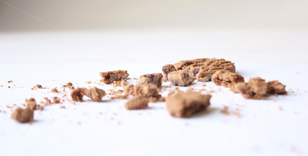 biscuit,black,brown,chip,chocolate,chocolatechip,chocolatechipcookie,chocolatechipcookies,closeup,cookie,crumb,crumbs,dark,dessert,food,homemade,isolated,powder,snack,비스킷,비스켓,음식,갈색,브라운,초코칩,초코,초코쿠키,쿠키,디저트,클로즈업,과자,부스러기,조각,조각난,홈메이드,가루,파우더,스낵,음식,식재료,요리,food,cook,meal,dishes,food reserves,디저트,간식,후식,dessert,snack