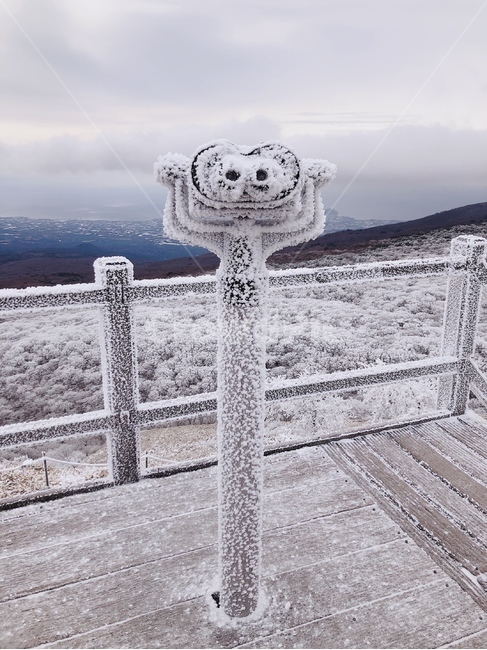 한라산,눈꽃,눈꽃산행,설산,눈꽃전망대,겨울,계절,winter,season