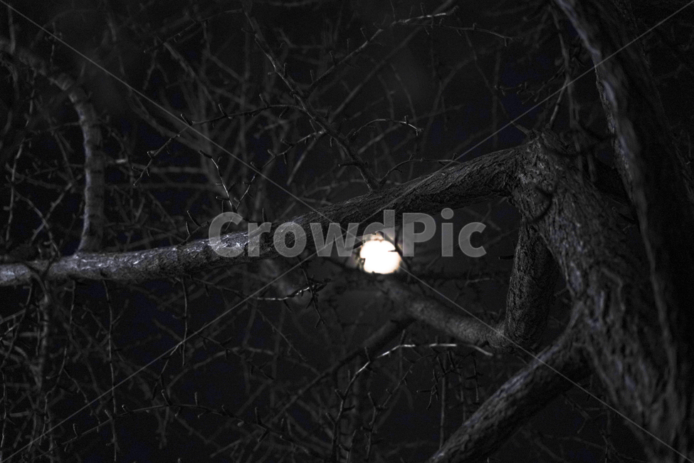 nature,자연,night,밤,space,moon,달