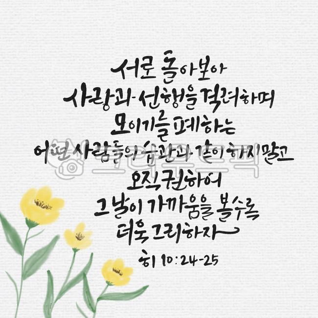 일러스트,꽃,프레임,기독교,천주교,꽃그림,캘리그래피,캘리그라피,캘리,켈리그래피,켈리그라피,켈리,서예,붓글씨,손글씨,성경,성서,구절,성구,성경구절,좋은성경구절,성경캘리,말씀캘리,리스,꽃리스,꽃일러스트,히브리서,사랑,선행,습관,권면