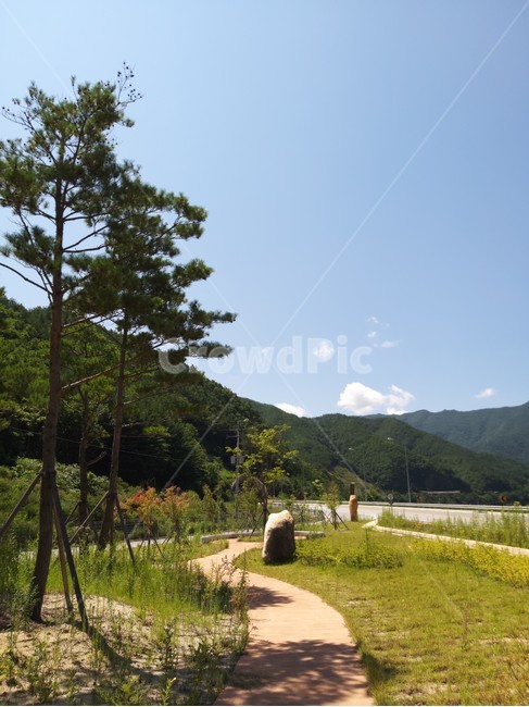 산,나무,하늘,도로,풍경
