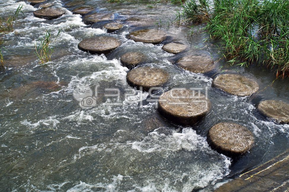 징검다리,디딤돌,하천,돌다리,학의천,자연