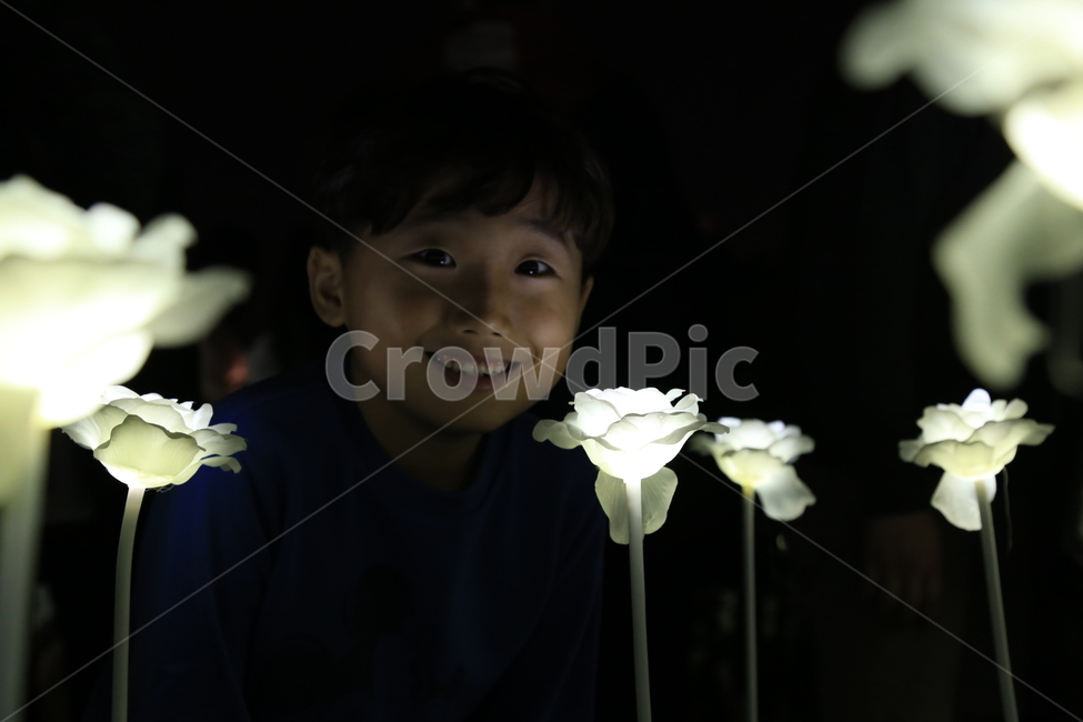 장미,led램프,불빛축제,웃음,미소,어린이,표정,야경,밤,풍경,nightscape,night,landscape,사람,인물,인간,human,person,얼굴표정,facial expression,face,어린이,어린아이,child,children,kid,plant,식물,flower,꽃,blossom,flower arrangement,꽃꽂이,flower bouquet,꽃 부케