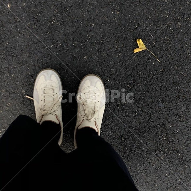 clothing,의류,shoe,구두,신발류,의복,apparel,운동화,땅,길