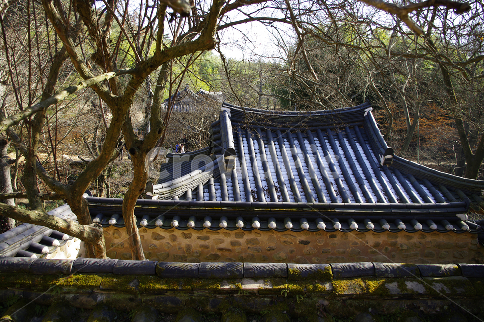 기와,지붕,전통,나무,한국,한국전통,한국문화,korean traditional,korean culture,건축물,건물외관,exterior,building,structure,architecture,construction