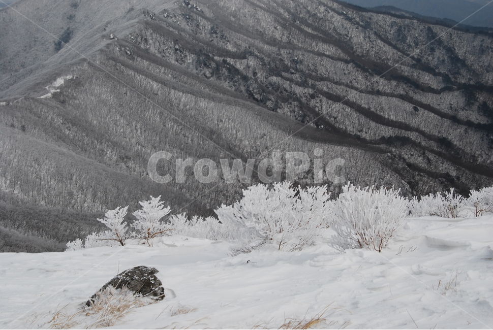 소백산,겨울,설경,snow,자연,겨울,계절,winter,season,자연,풍경,nature,landscape,outdoors,옥외,mountain,산