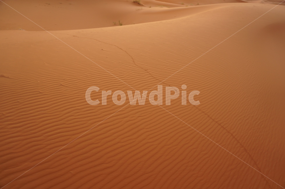 soil,sand,자연,nature,모래,dune,모래언덕,사막,사하라,desert,sahara,자연,풍경,nature,landscape,해외,외국,세계,foreign,oversea,world,세계자연풍경,해외자연풍경,외국자연풍경,world nature landscape
