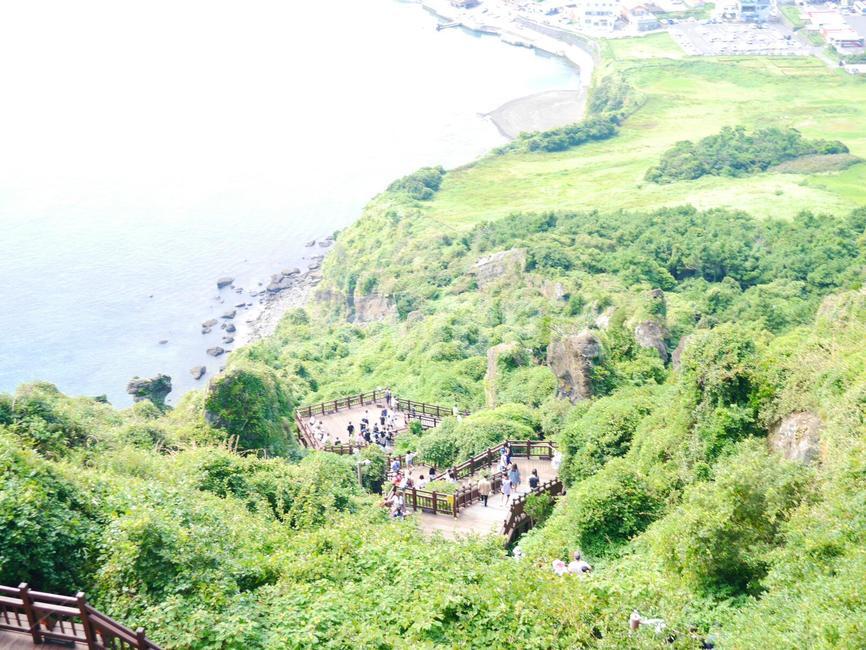 바다,산,등산로,제주도,풍경,여름,시원,나무,돌,물